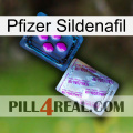 Pfizer Sildenafil 37